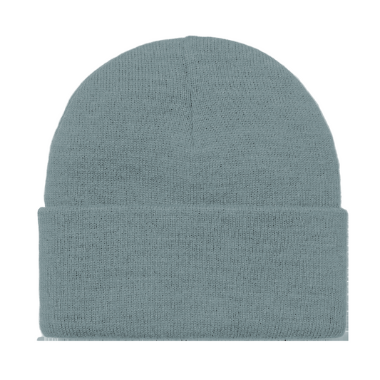 Gorro unissexo Carhartt WIP American Script em Citadel. Foto da parte de trás.