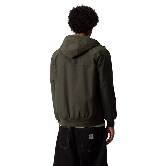 Casaco com carapuço Carhartt WIP Hooded Sail em Cypress, vista de costas a três quartos no modelo, mostrando o carapuço descido, a costura horizontal nas costas e os punhos e bainha canelados.