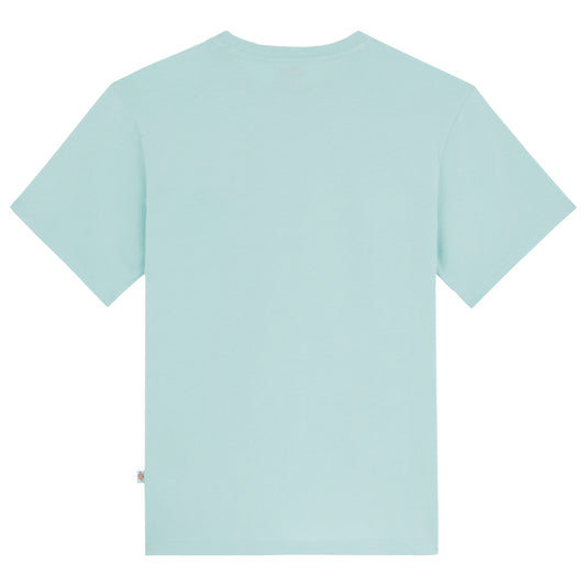 Dickies Mapleton T-Shirt Pastel Turquoise. Foto da parte de trás.