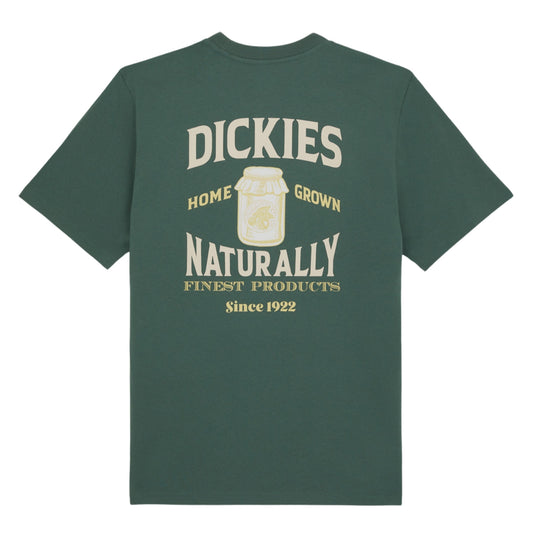 Dickies Elliston Short Sleeve T-Shirt Forest. Foto da parte de trás.