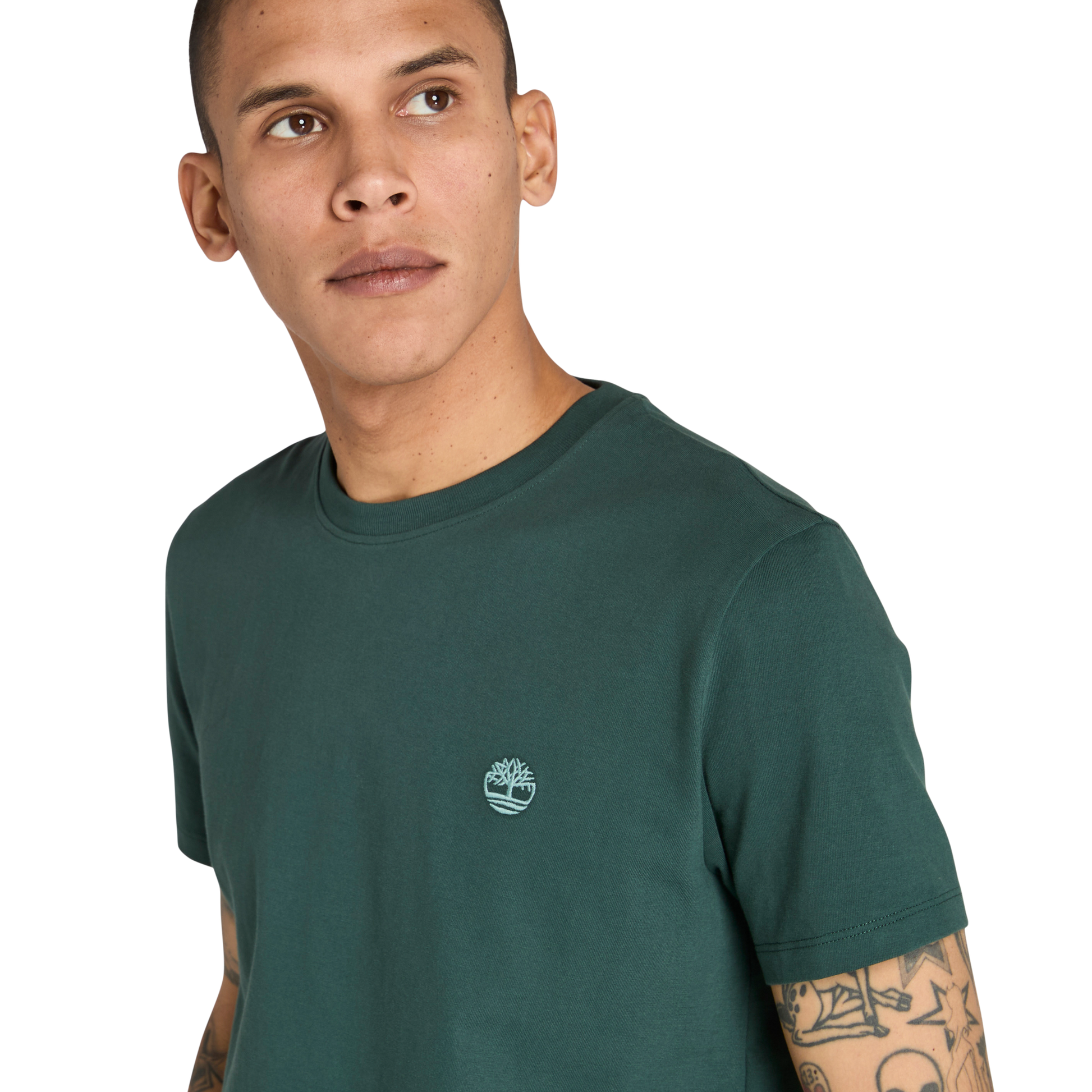 T-Shirt de manga curta para homem Timberland Dunstan River em Green Gables. Foto da t-shirt vestida.