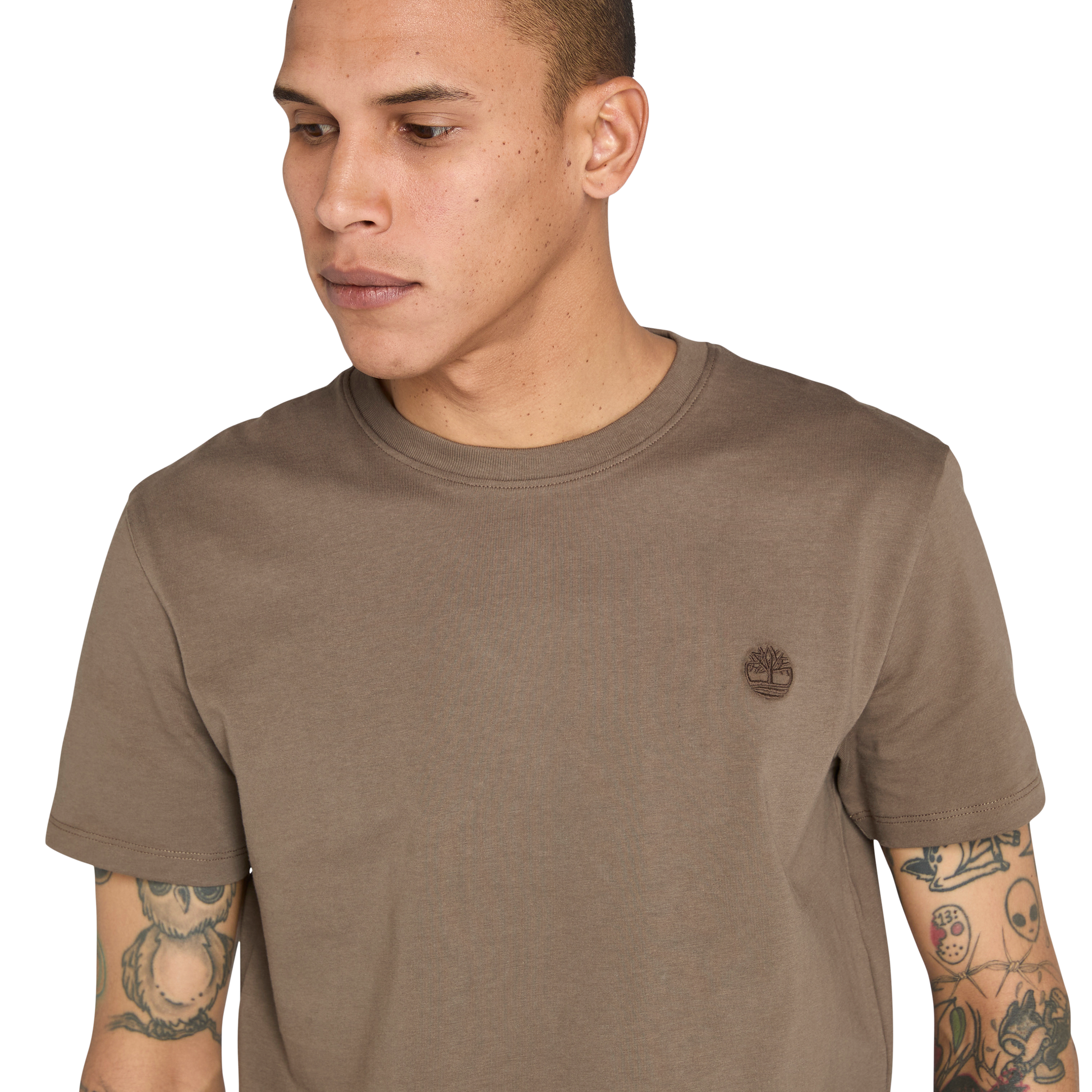 T-Shirt de manga curta para homem Timberland Dunstan River em Chocolate Chip. Foto da parte da frente em detalhe.