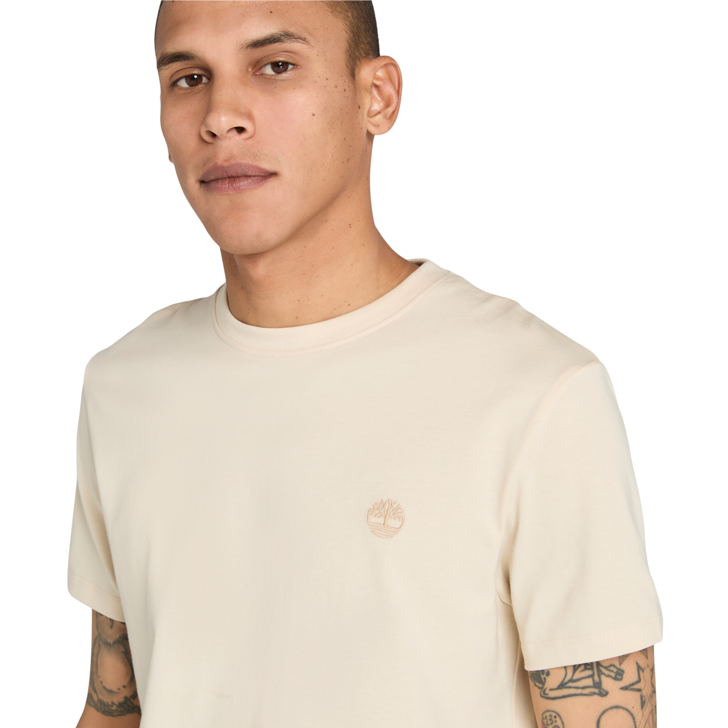 T-Shirt de manga curta para homem Timberland Dunstan River em Angora. Foto da t-shirt vestida.