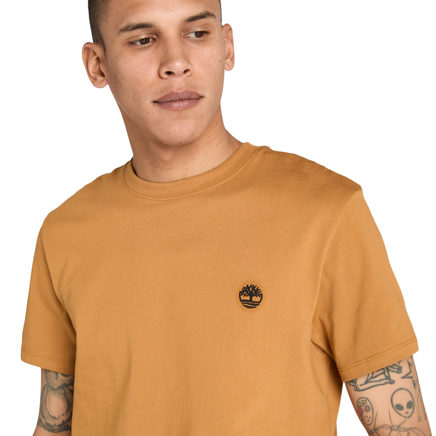 T-Shirt de manga curta para homem Timberland Dunstan River em Wheat Boot. Foto da t-shirt vestida.