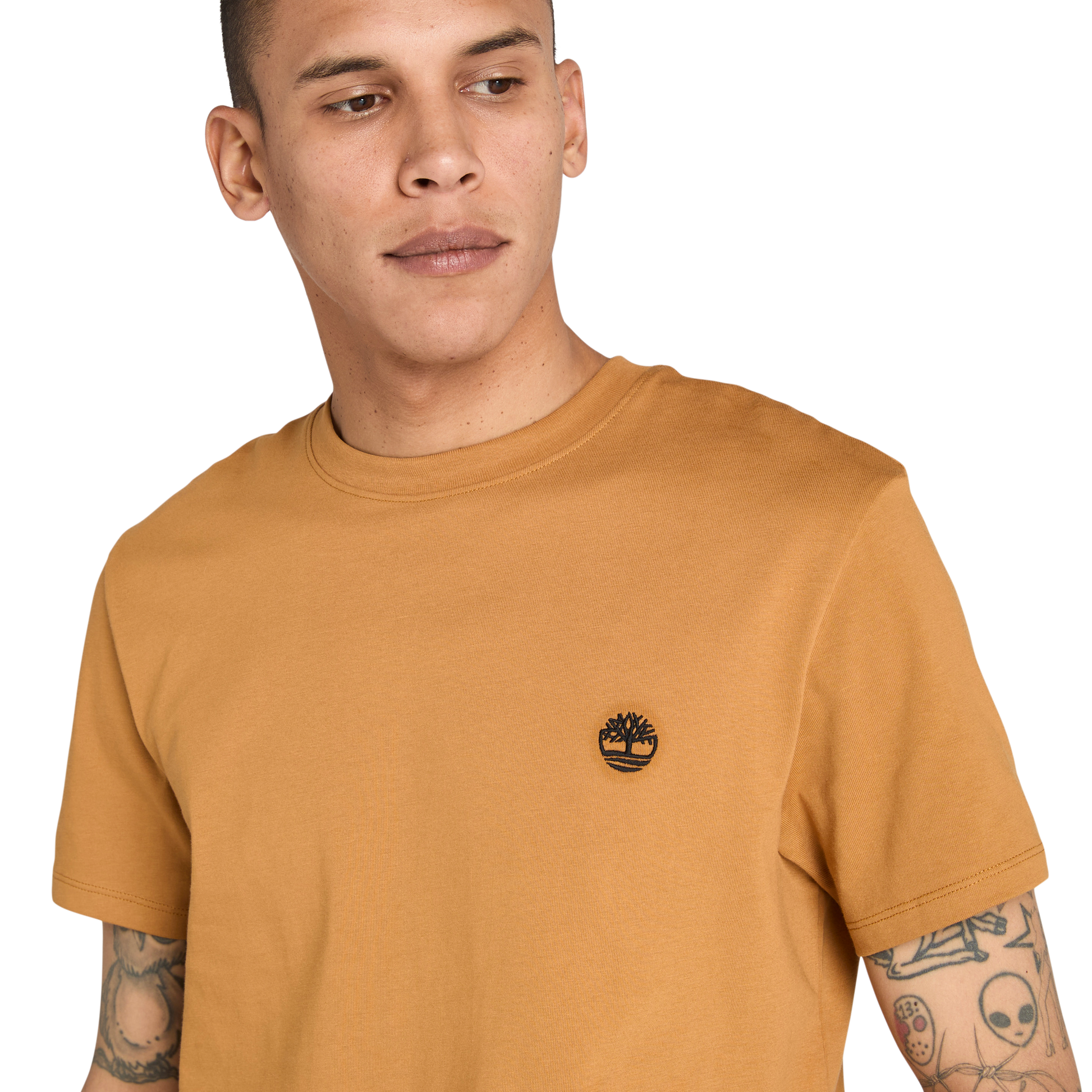 T-Shirt de manga curta para homem Timberland Dunstan River em Wheat Boot. Foto da t-shirt vestida.