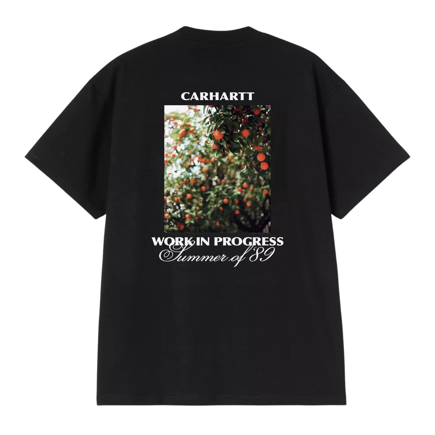Men's Carhartt WIP Warm Views Short Sleeve T-Shirt in Black