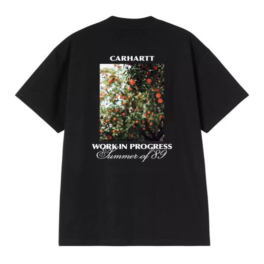 Men's Carhartt WIP Warm Views Short Sleeve T-Shirt in Black
