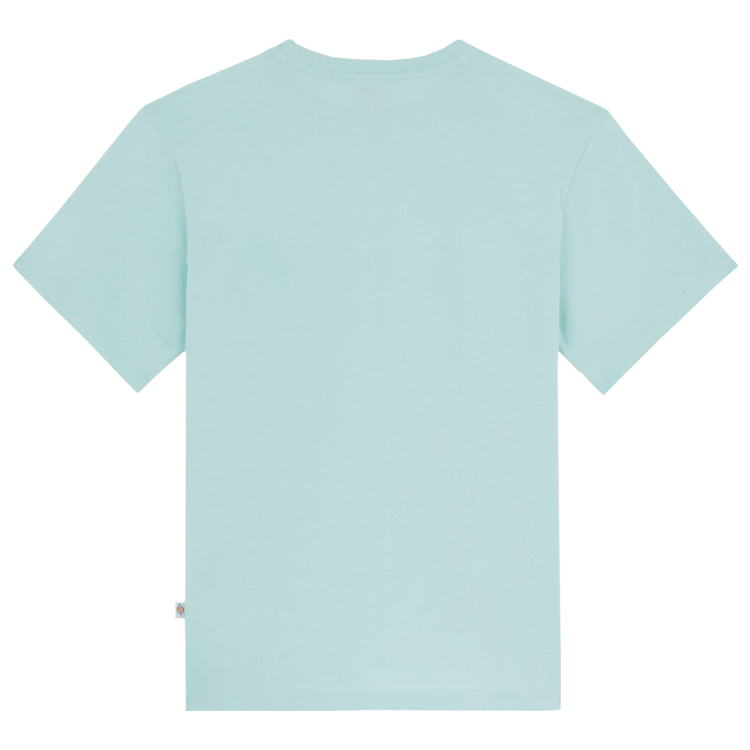 Dickies Mapleton T-Shirt Pastel Turquoise. Foto da parte de trás.