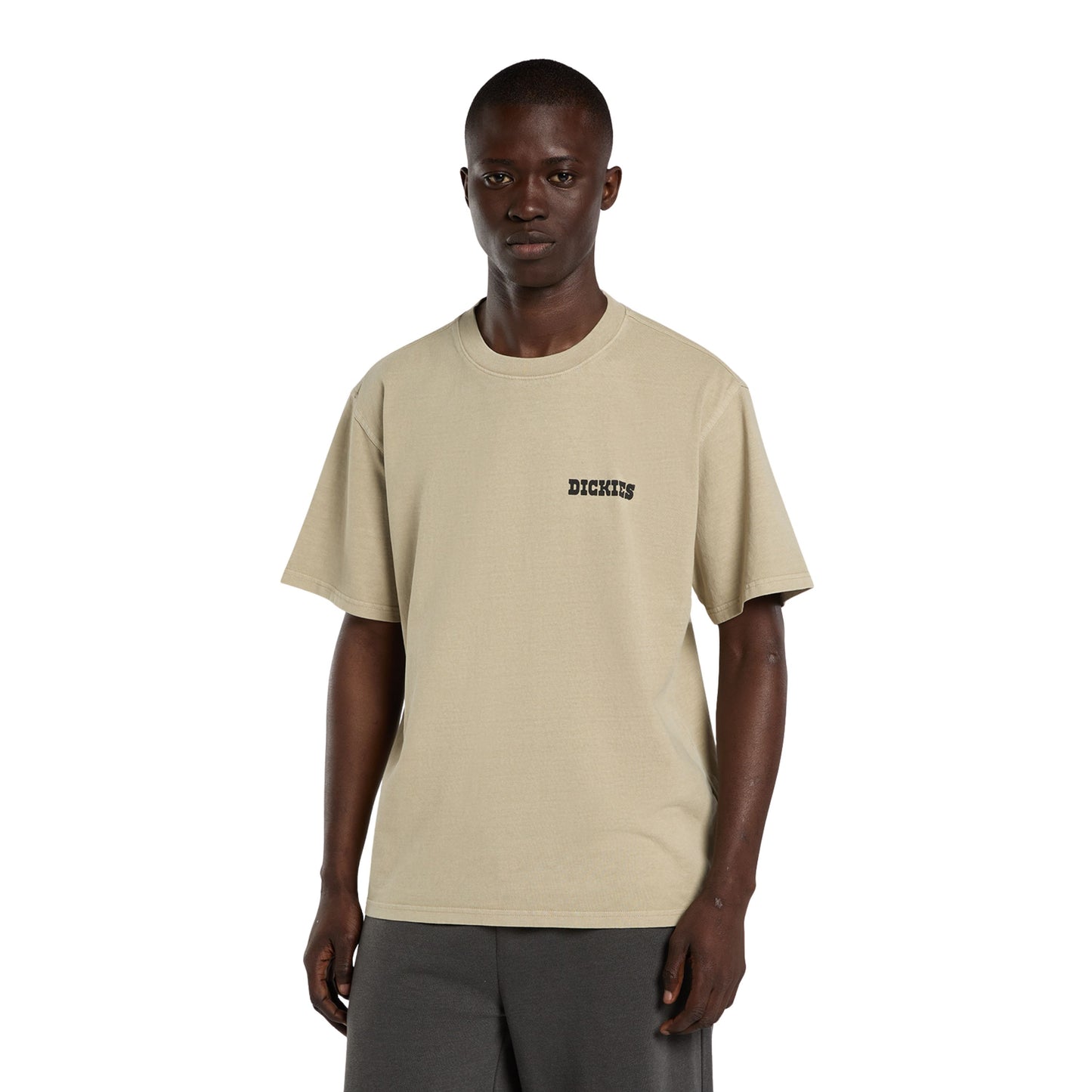 T-Shirt de manga curta para homem Dickies Darrtown em Eucalyptus. Foto da parte da frente, vestida.