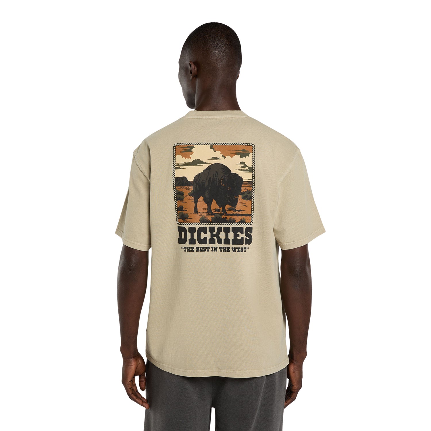 T-Shirt de manga curta para homem Dickies Darrtown em Eucalyptus. Foto da parte de trás, vestida.