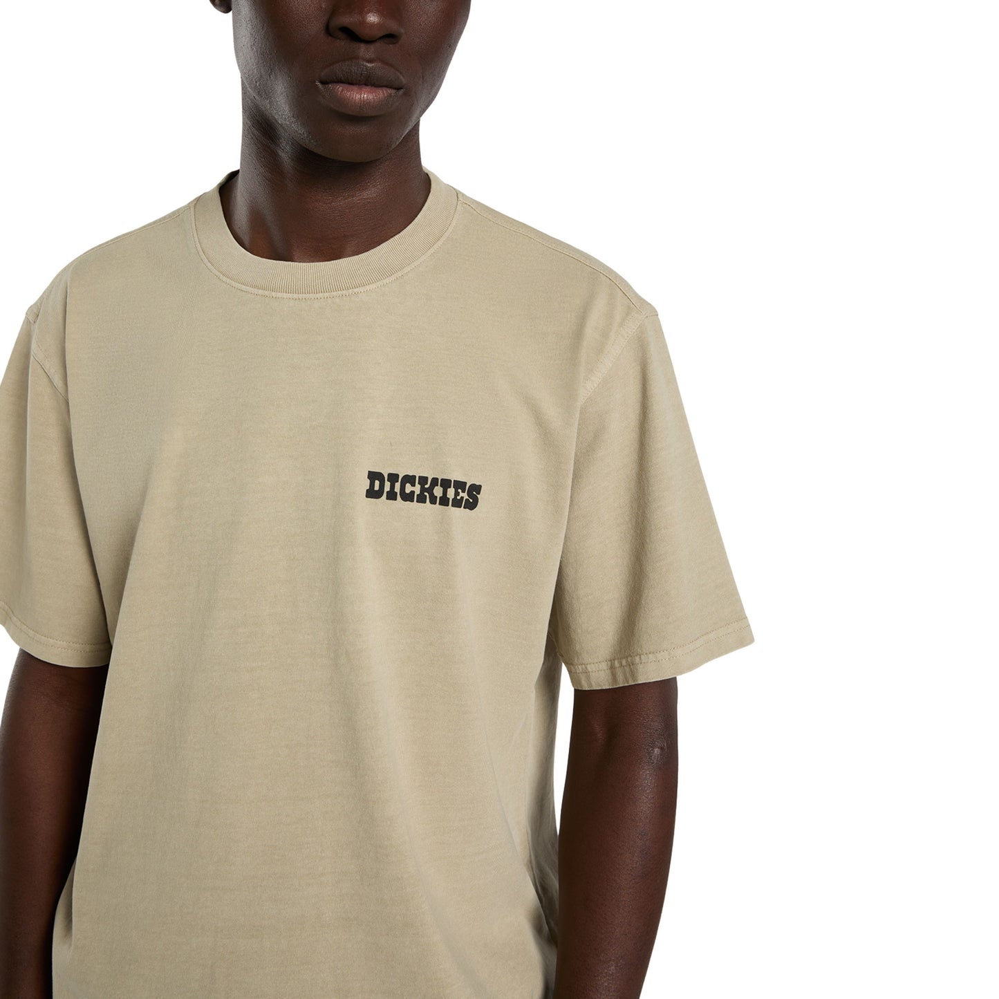 T-Shirt de manga curta para homem Dickies Darrtown em Eucalyptus. Foto de detalhe da parte da frente, vestida.