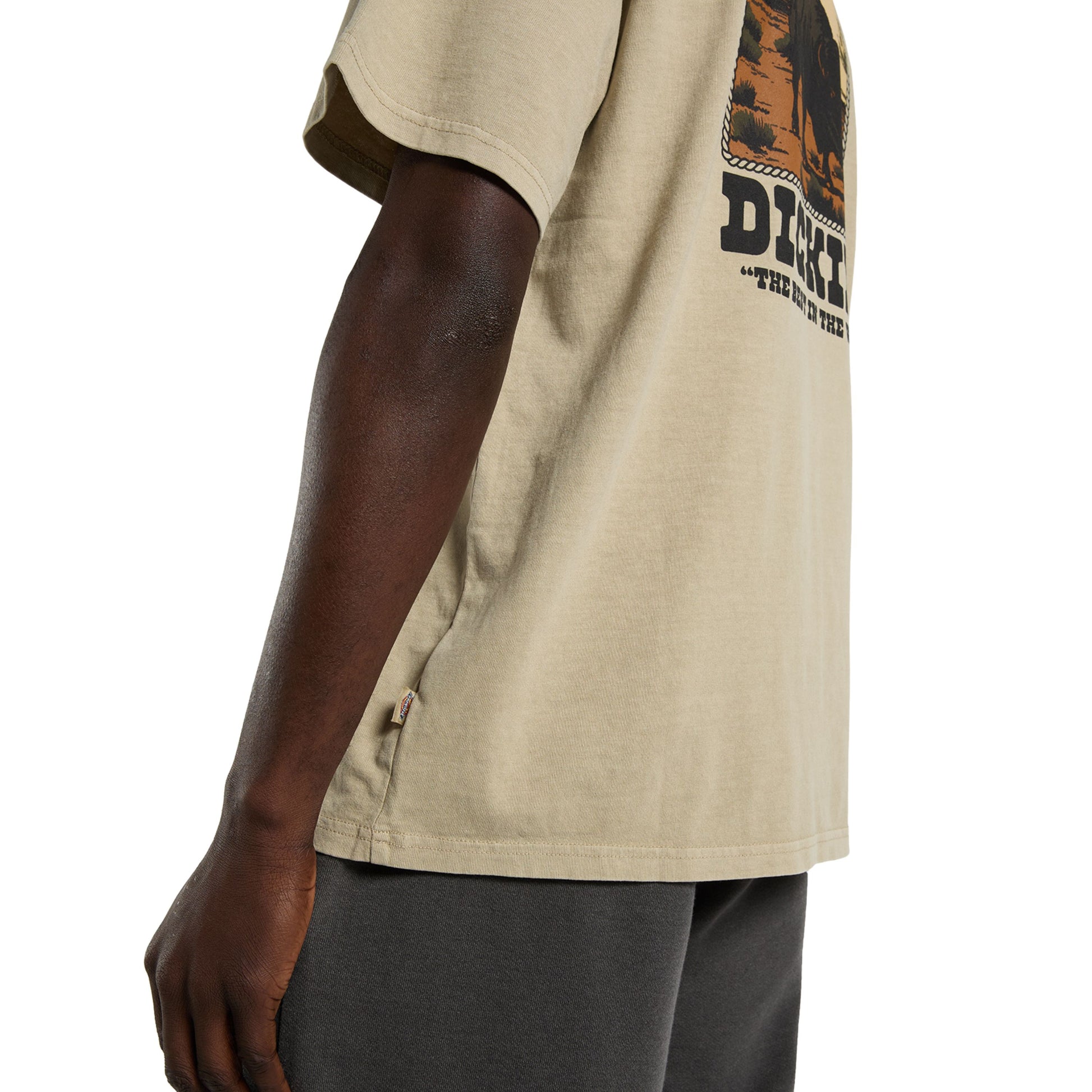 T-Shirt de manga curta para homem Dickies Darrtown em Eucalyptus. Foto de detalhe da parte de trás, vestida.