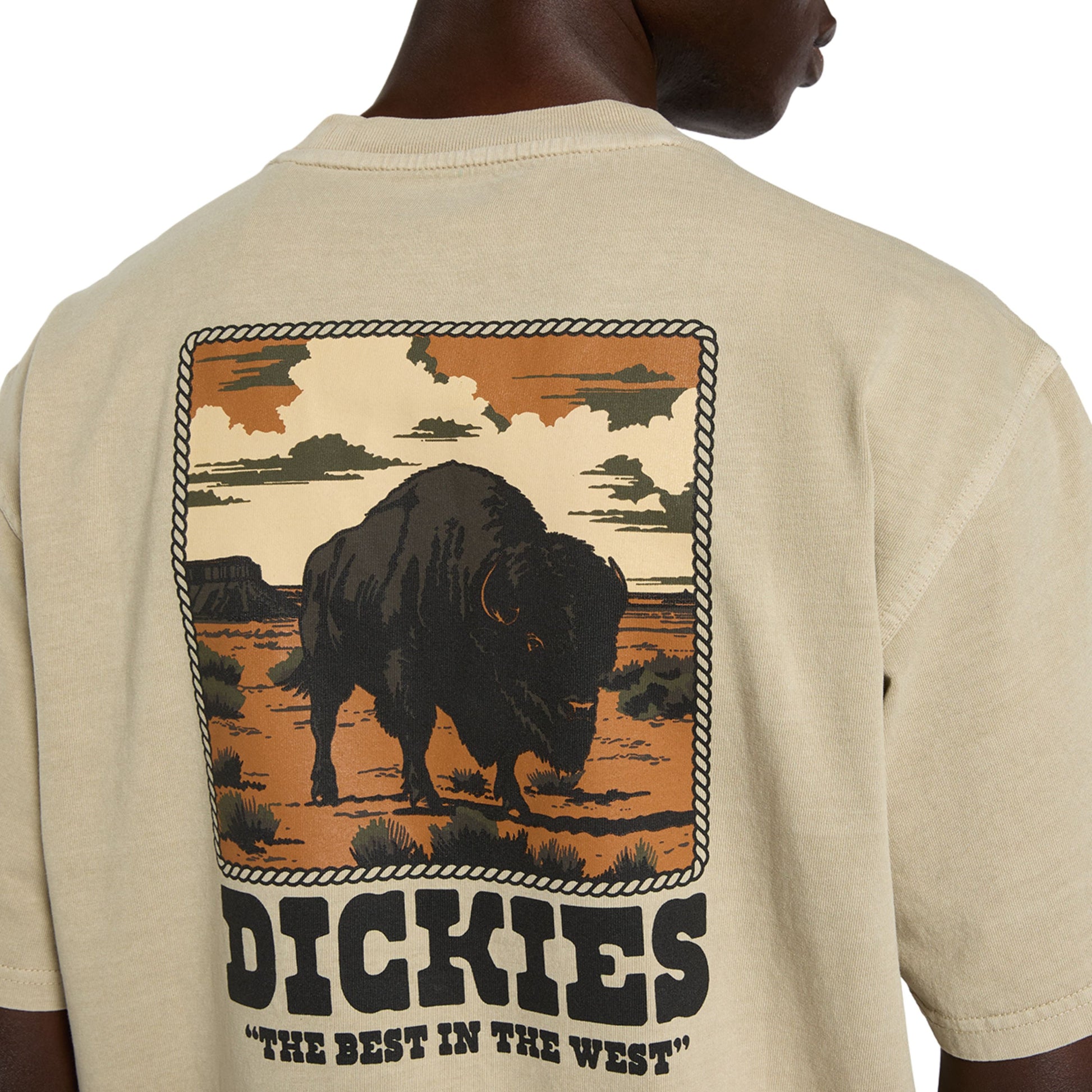 T-Shirt de manga curta para homem Dickies Darrtown em Eucalyptus. Foto de detalhe da parte de trás, vestida.