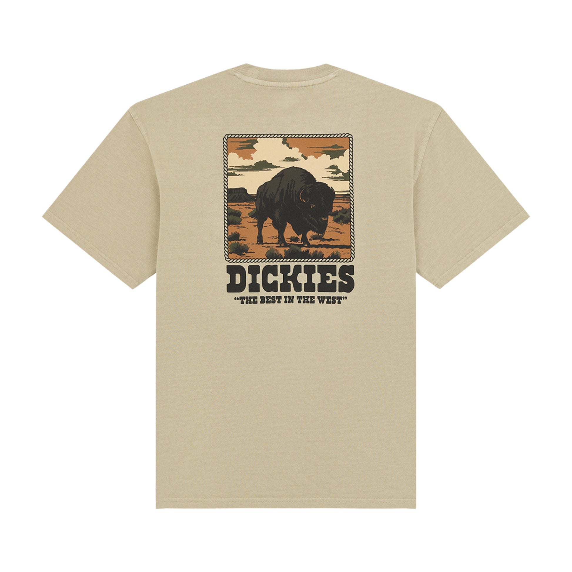 T-Shirt de manga curta para homem Dickies Darrtown em Eucalyptus. Foto da parte de trás.