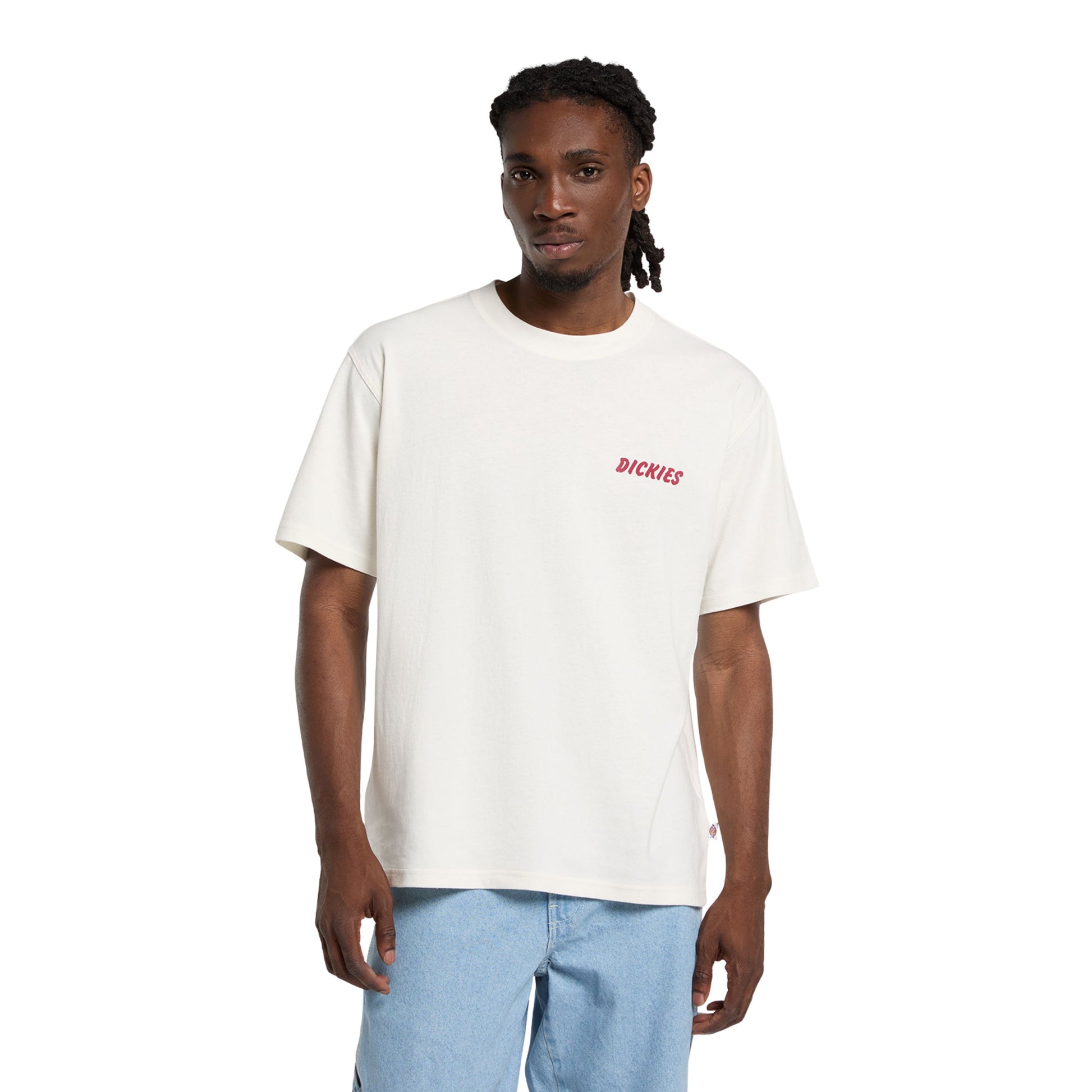 T-Shirt de manga curta para homem Dickies Dry Ridge em Egret. Foto da parte da frente, vestida.