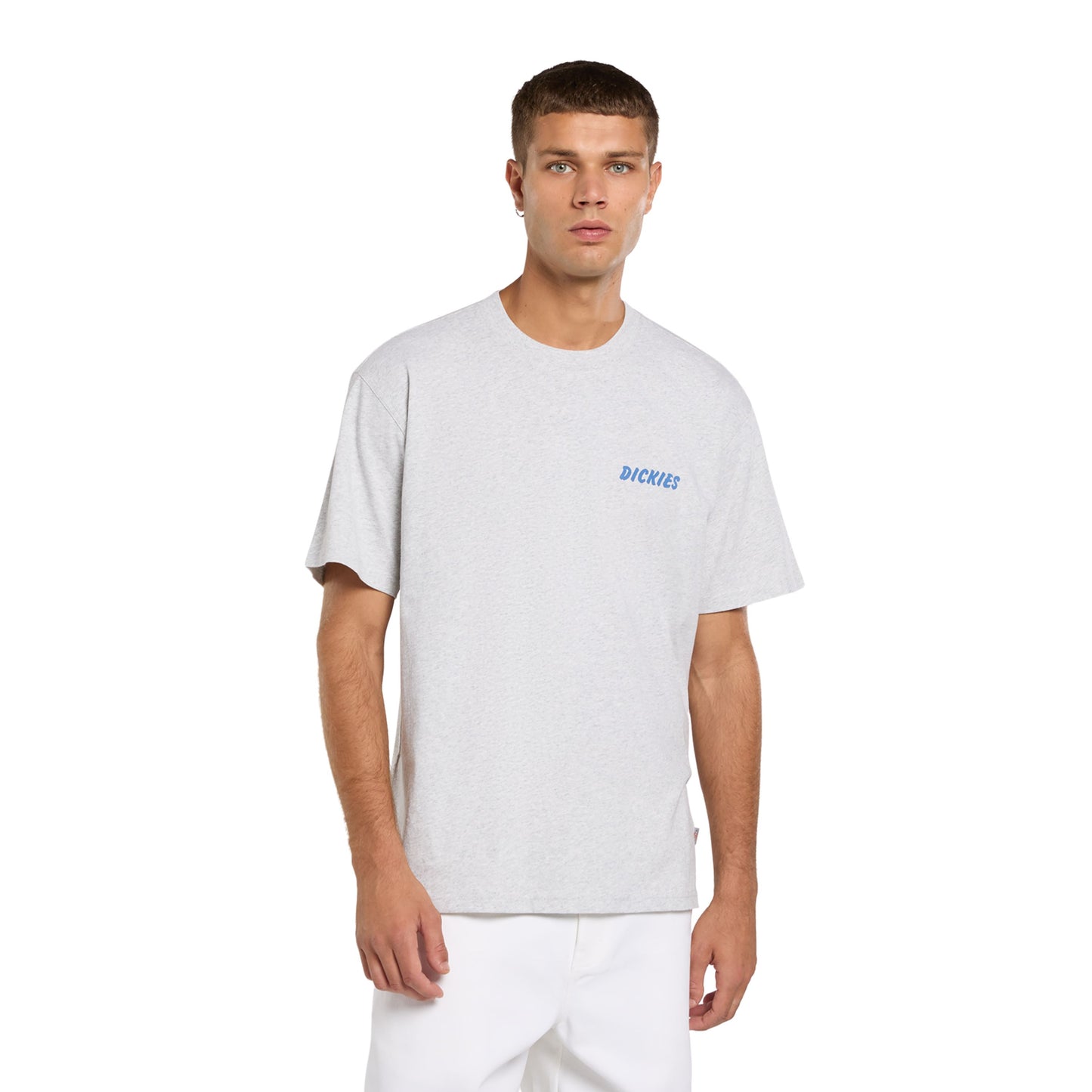 T-Shirt de manga curta para homem Dickies Dry Ridge em Cinza Claro. Foto da parte da frente, vestida.