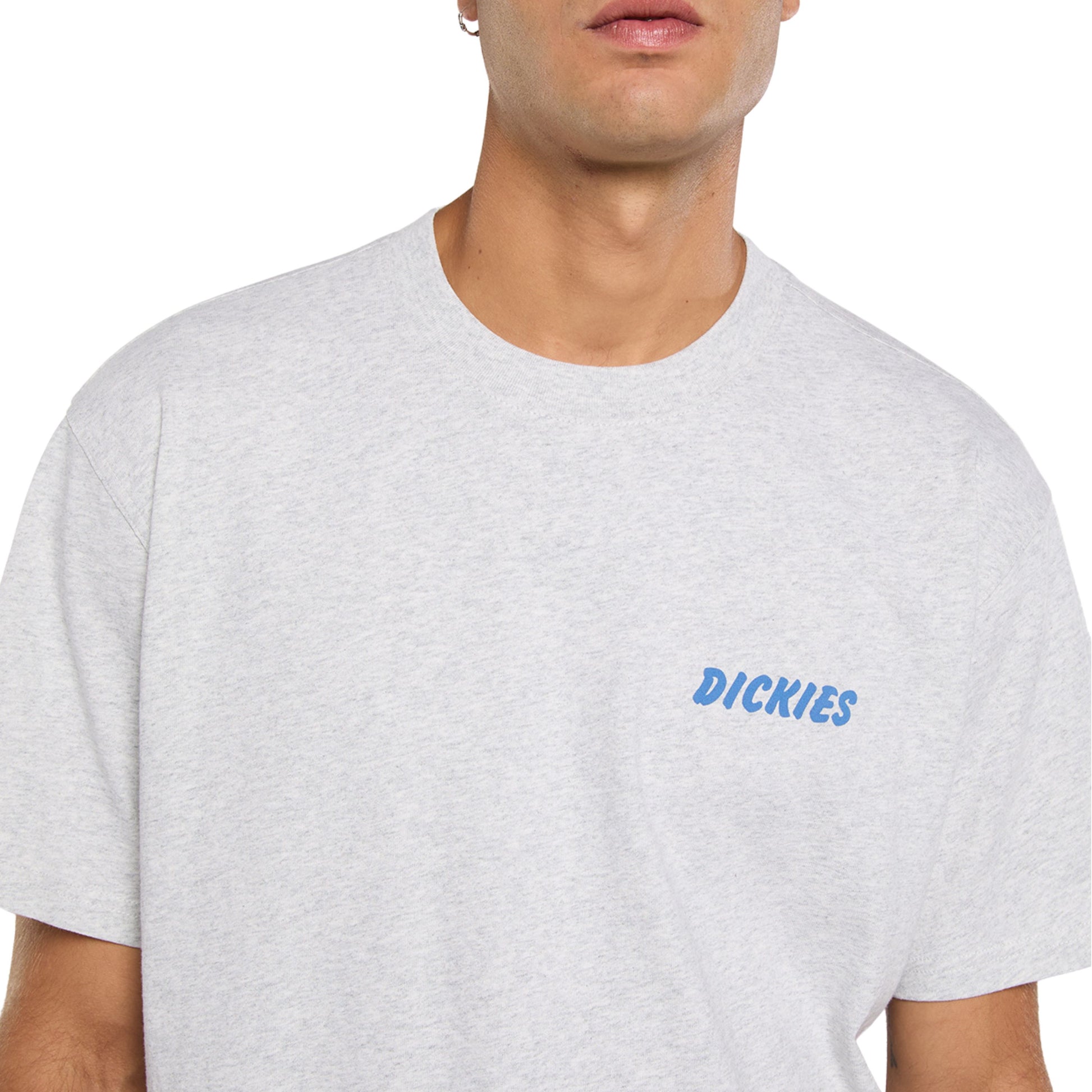 T-Shirt de manga curta para homem Dickies Dry Ridge em Cinza Claro. Foto de detalhe da parte da frente, vestida.