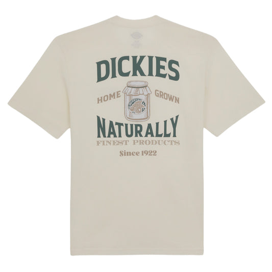 Dickies Elliston Short Sleeve T-Shirt Cloud. Foto da parte de trás.