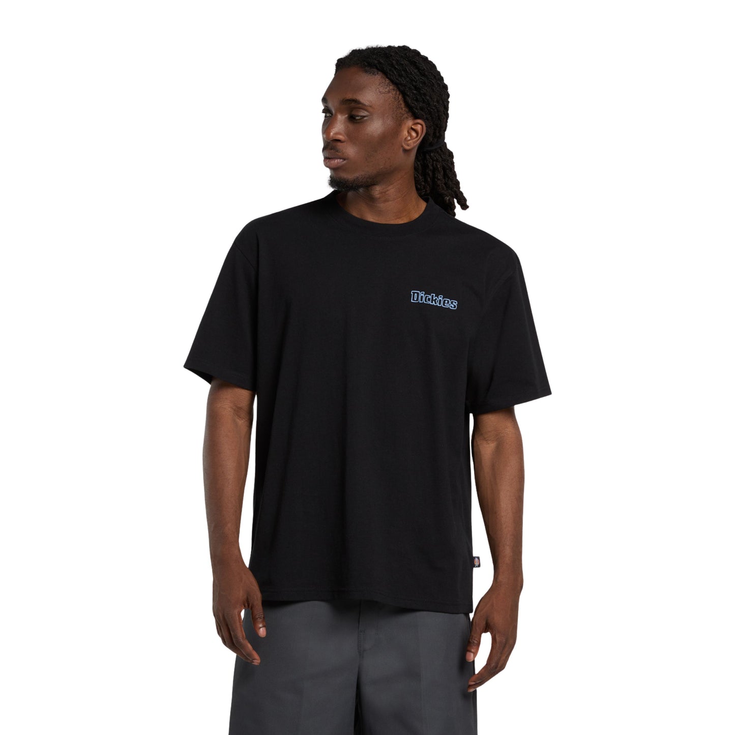 T-Shirt de manga curta para homem Dickies Fairlawn em Preto. Foto da parte da frente, vestida.