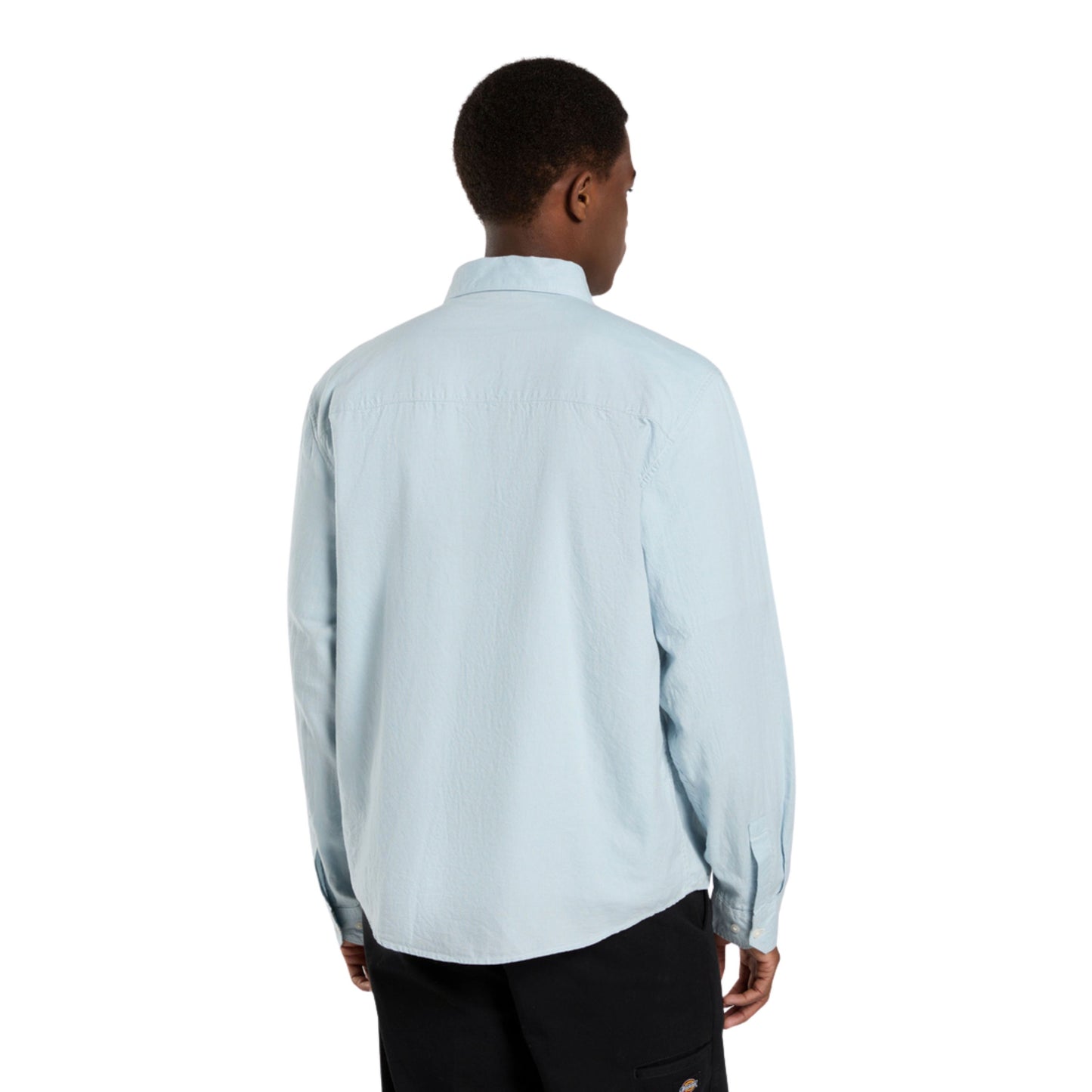 Camisa de manga comprida para homem Dickies Gallatin em Glacier Lake. Foto da parte de trás, vestida.