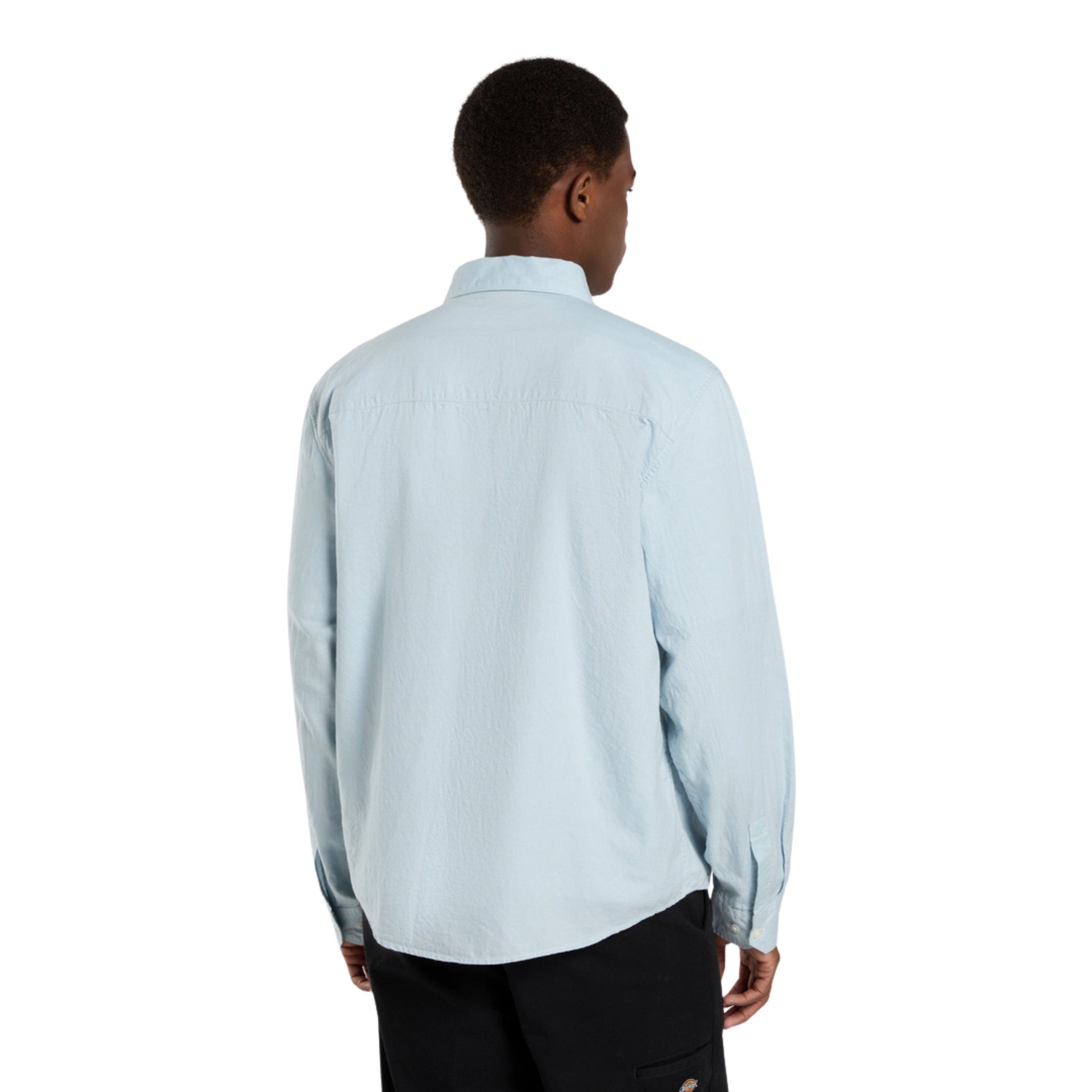 Camisa de manga comprida para homem Dickies Gallatin em Glacier Lake. Foto da parte de trás, vestida.