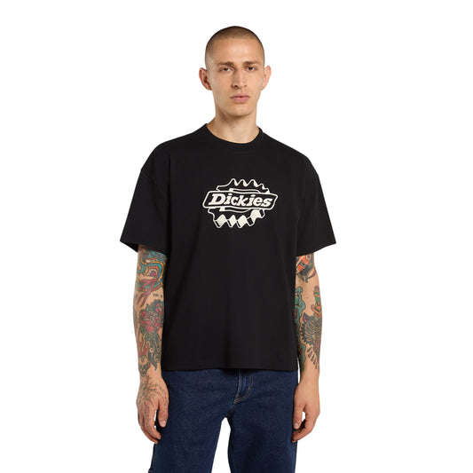 T-Shirt de manga curta para homem Dickies Irondale em Preto. Foto da parte da frente, vestida.