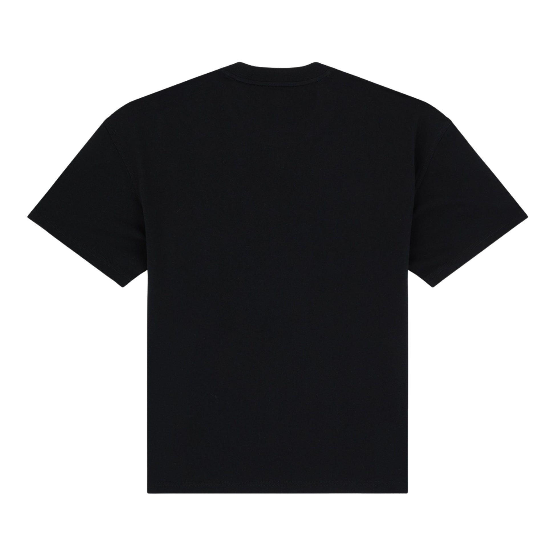 T-Shirt de manga curta para homem Dickies Irondale em Preto. Foto da parte de trás.