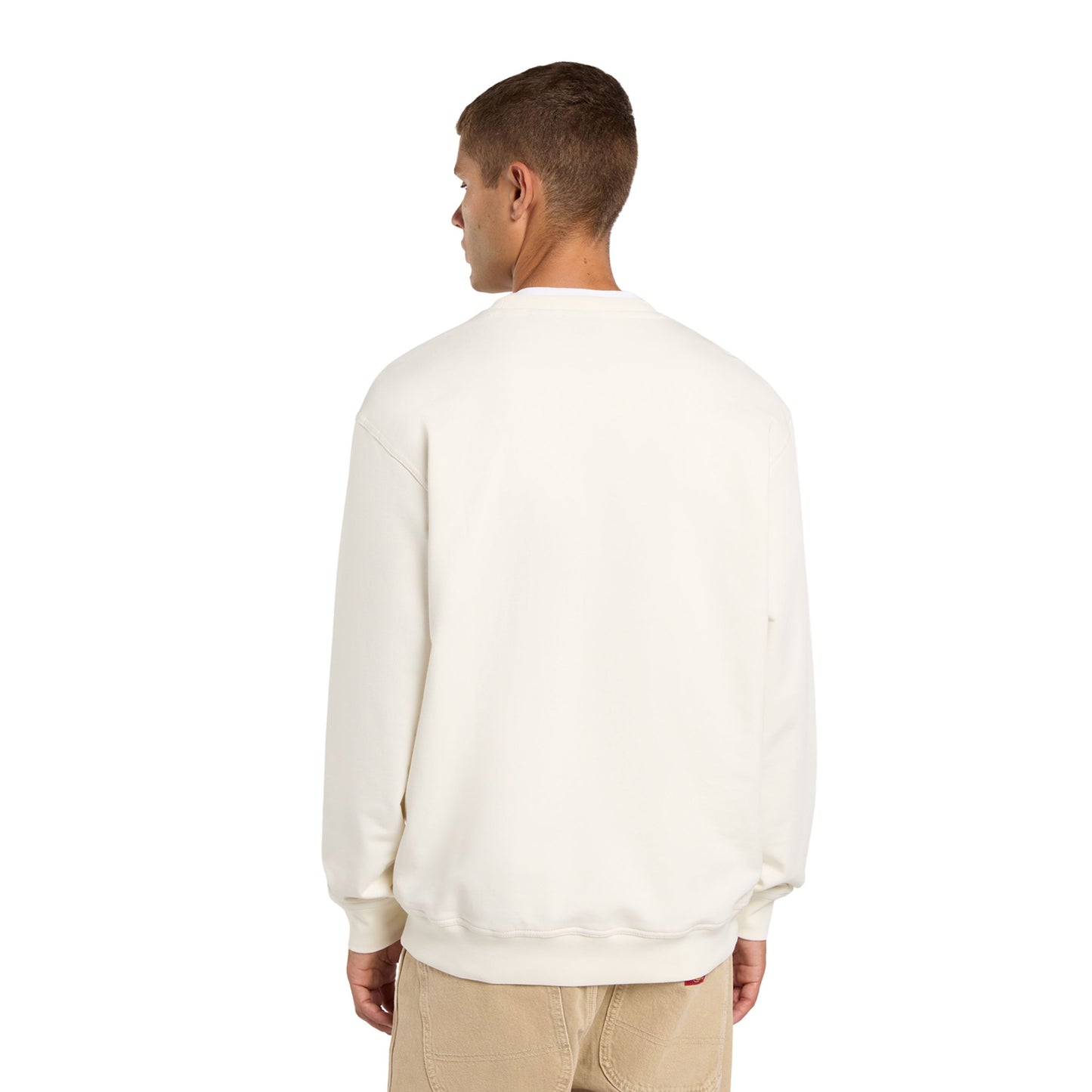 Sweat para homem Dickies Loretto Crew em Ecru. Fotos da parte de trás, vestida.