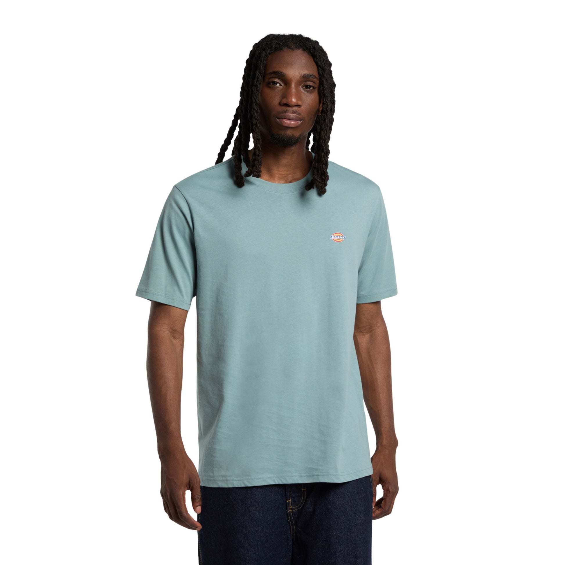 T-Shirt de manga curta para homem Dickies Mapleton em Stormy Sea. Foto da parte da frente, vestida.