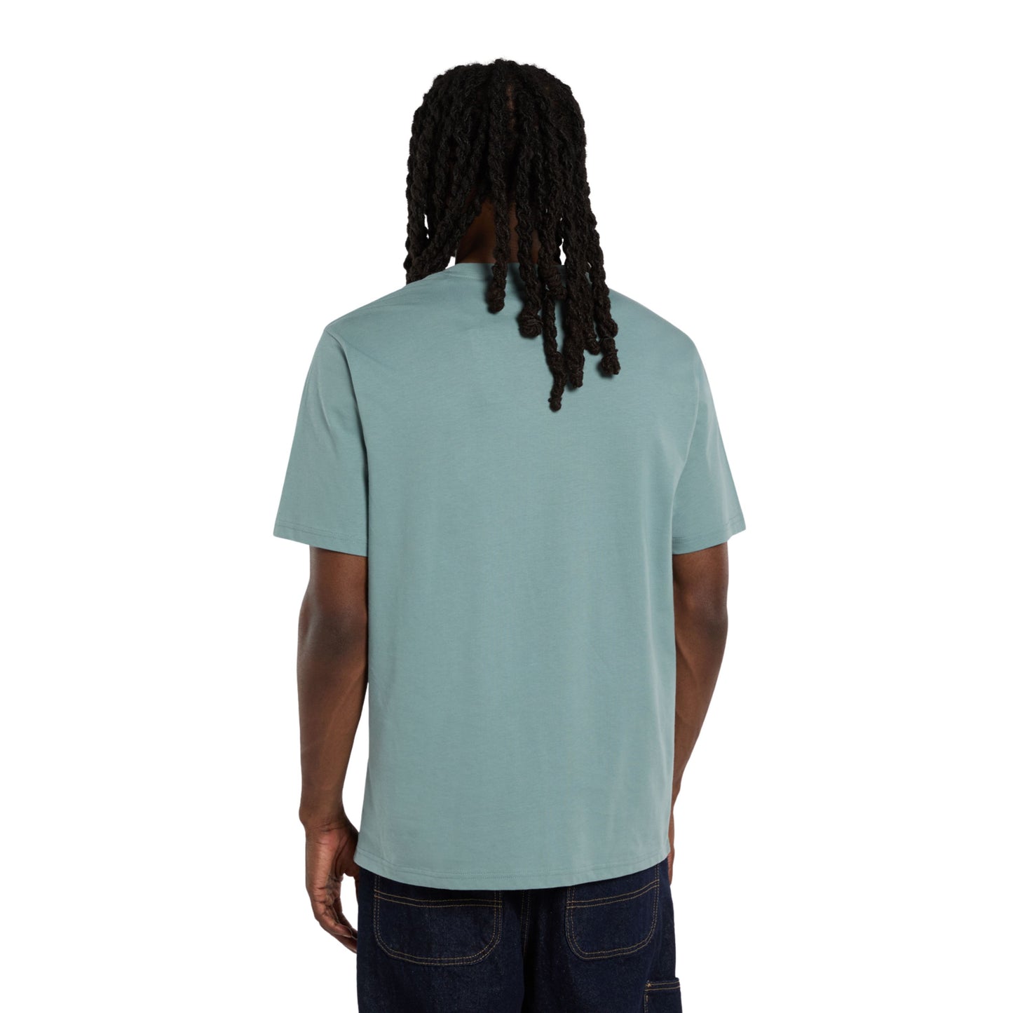 T-Shirt de manga curta para homem Dickies Mapleton em Stormy Sea. Foto da parte de trás, vestida.