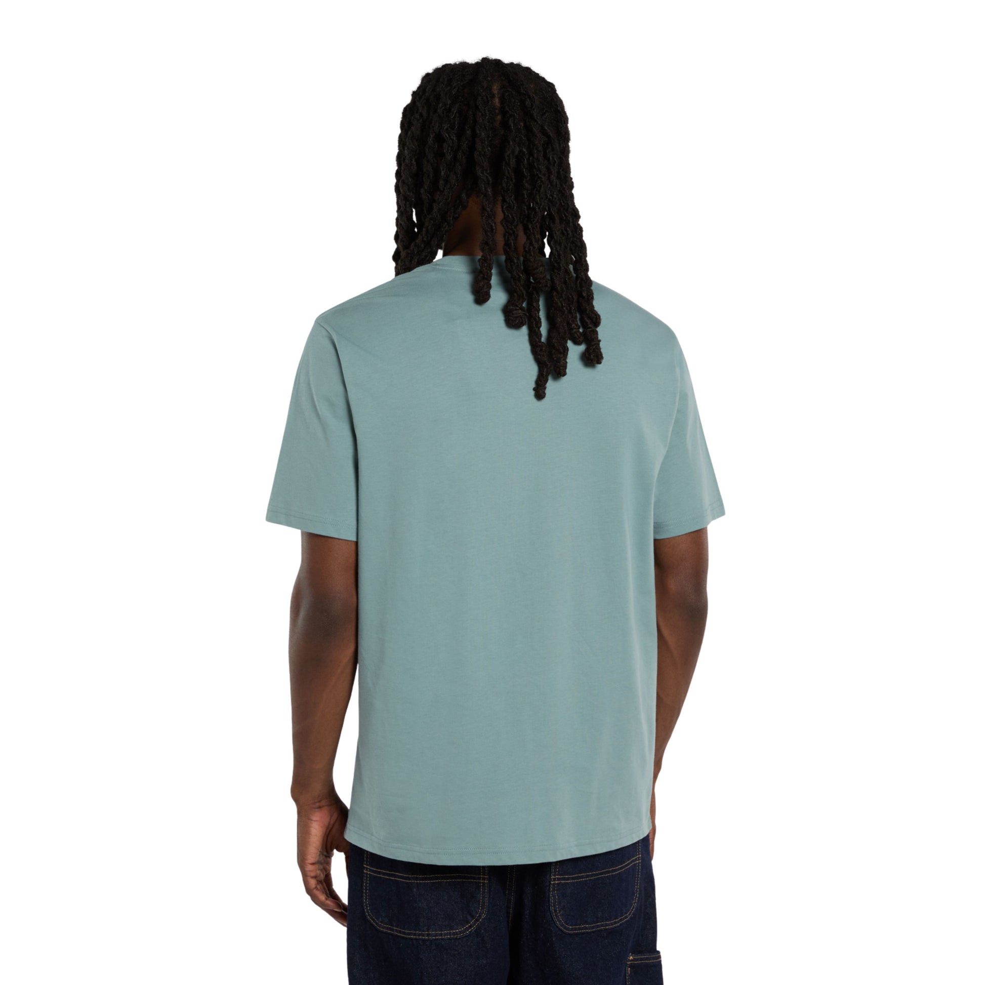 T-Shirt de manga curta para homem Dickies Mapleton em Stormy Sea. Foto da parte de trás, vestida.