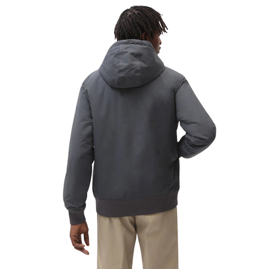Casaco Dickies New Sarpy em Charcoal visto de costas em modelo, com capuz pousado, parte traseira lisa e bainha canelada.