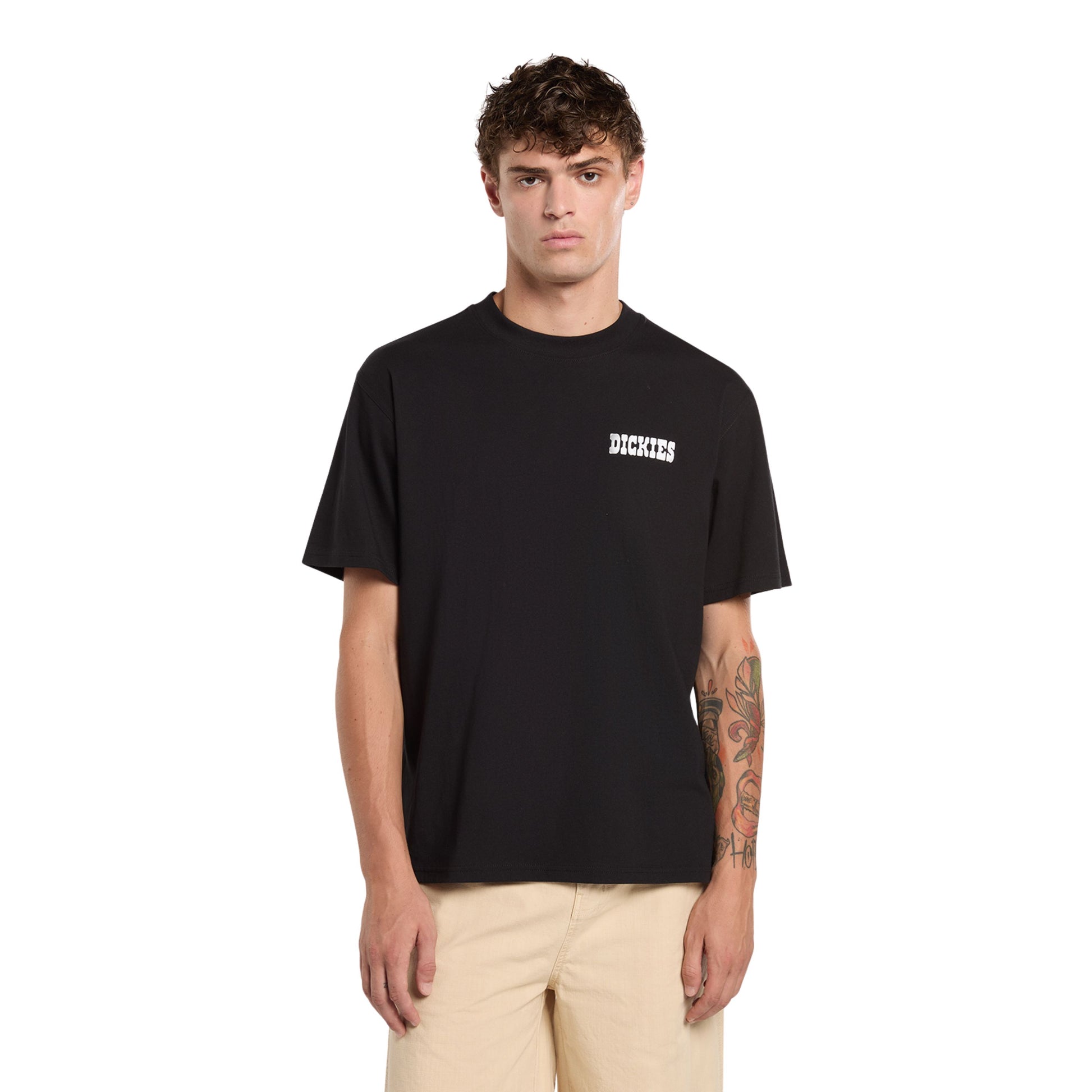 T-Shirt de manga curta para homem Dickies Plain City em Preto. Foto da parte da frente, vestida.
