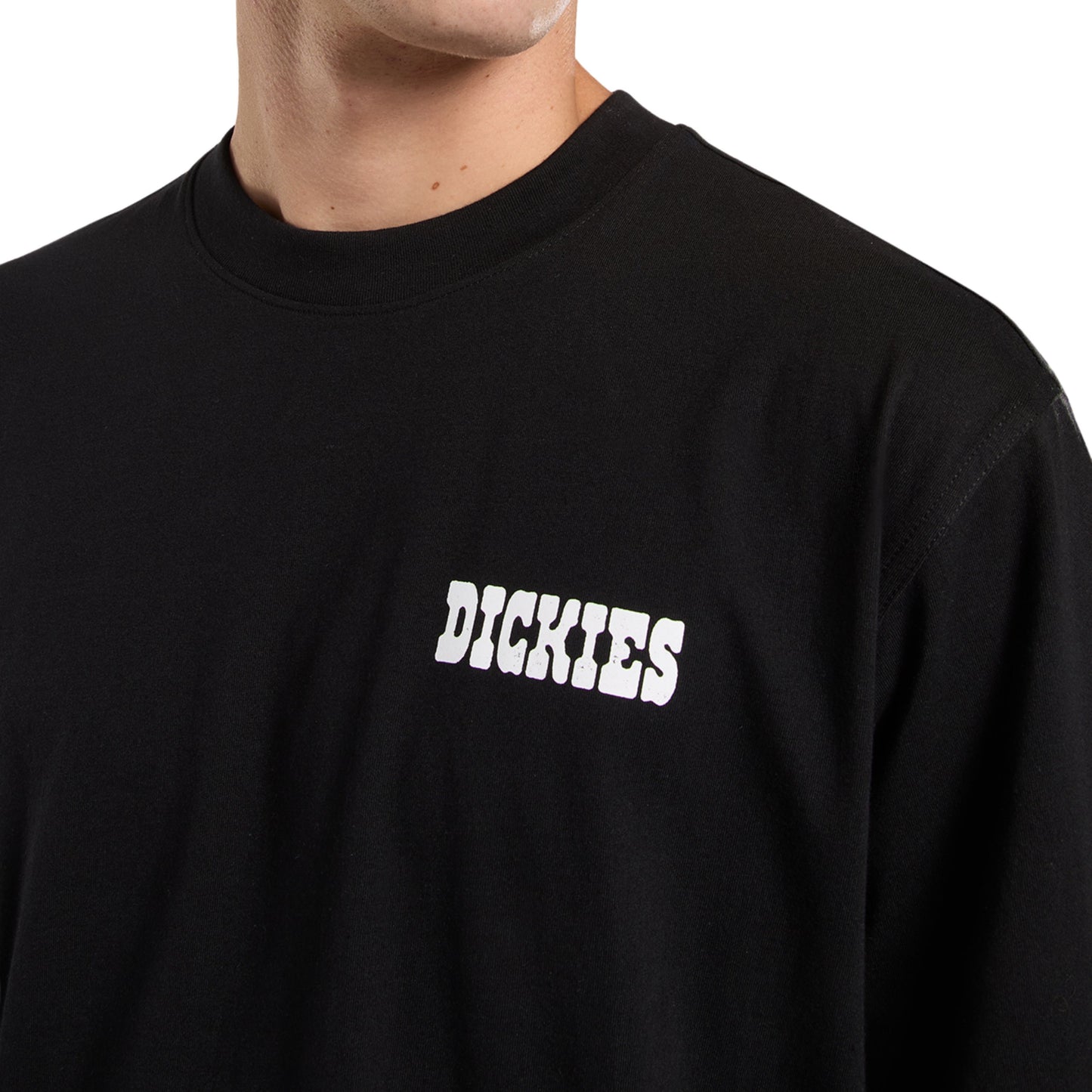 T-Shirt de manga curta para homem Dickies Plain City em Preto. Foto de detalhe da parte da frente, vestida.