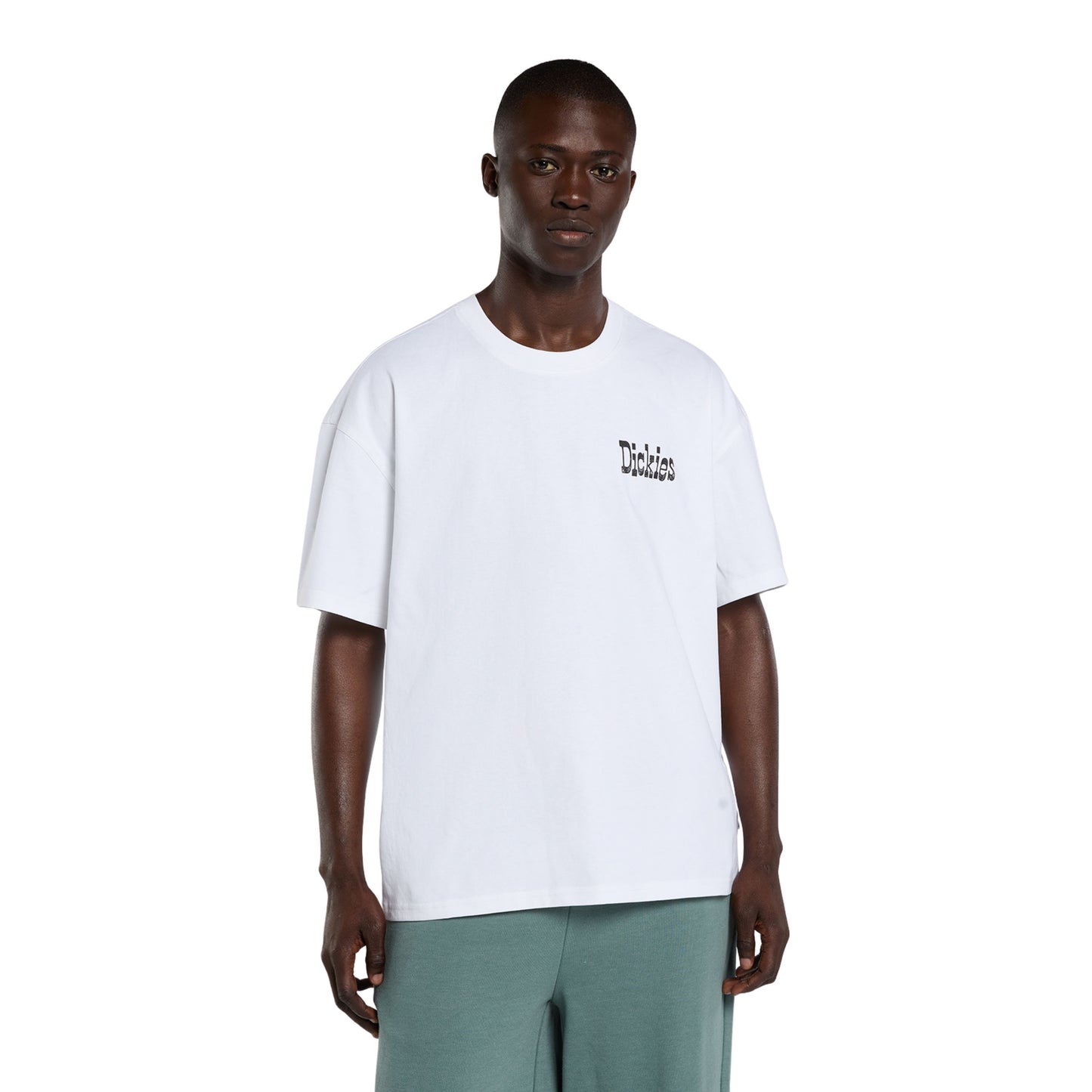 T-Shirt de manga curta para homem Dickies Polk em Branco. Foto da parte da frente, vestida.