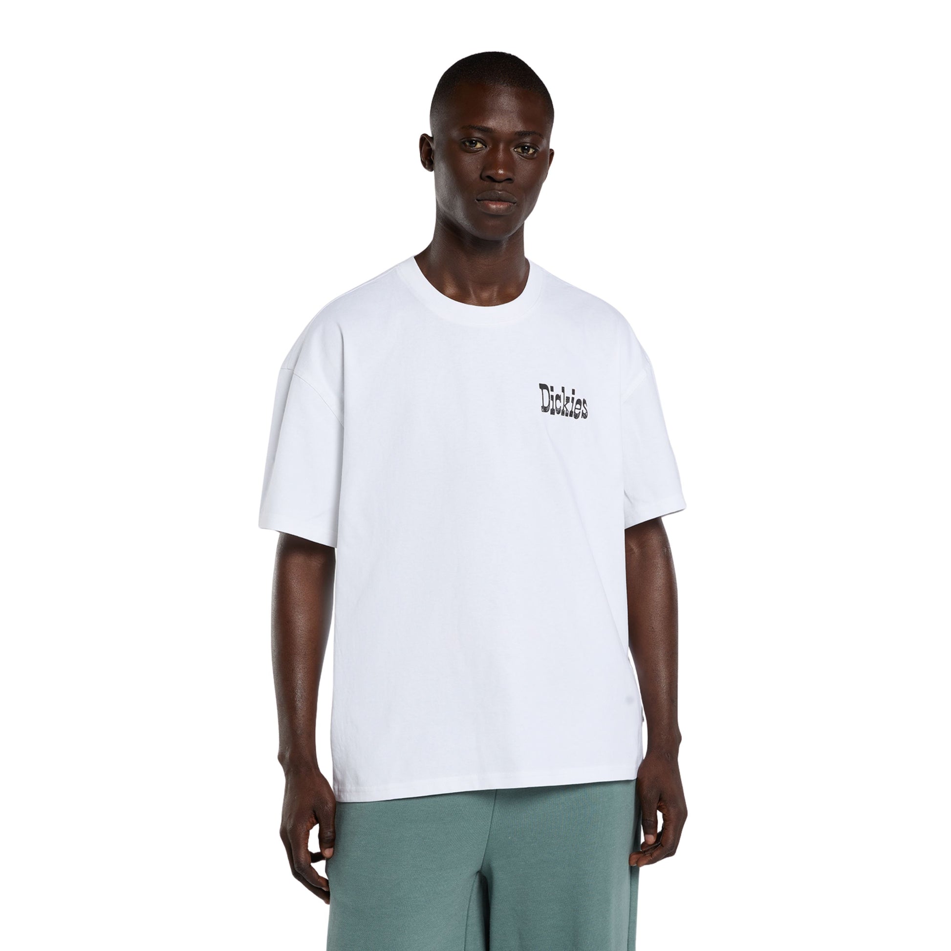 T-Shirt de manga curta para homem Dickies Polk em Branco. Foto da parte da frente, vestida.
