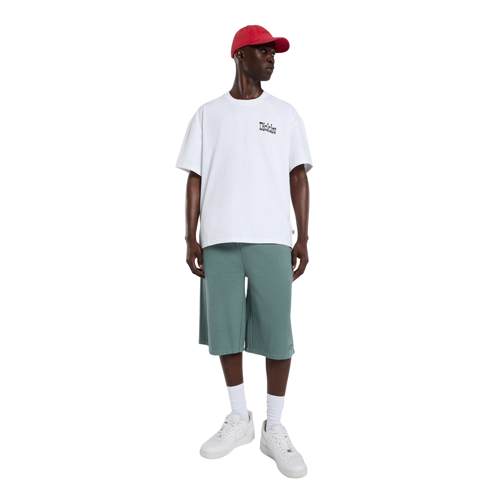T-Shirt de manga curta para homem Dickies Polk em Branco. Foto da parte da frente, vestida.
