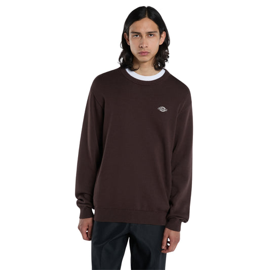 Camisola de malha para homem Dickies Summerdale em Chocolate Brown — vista frontal do modelo em plano médio, com gola redonda e logótipo Dickies bordado no peito.