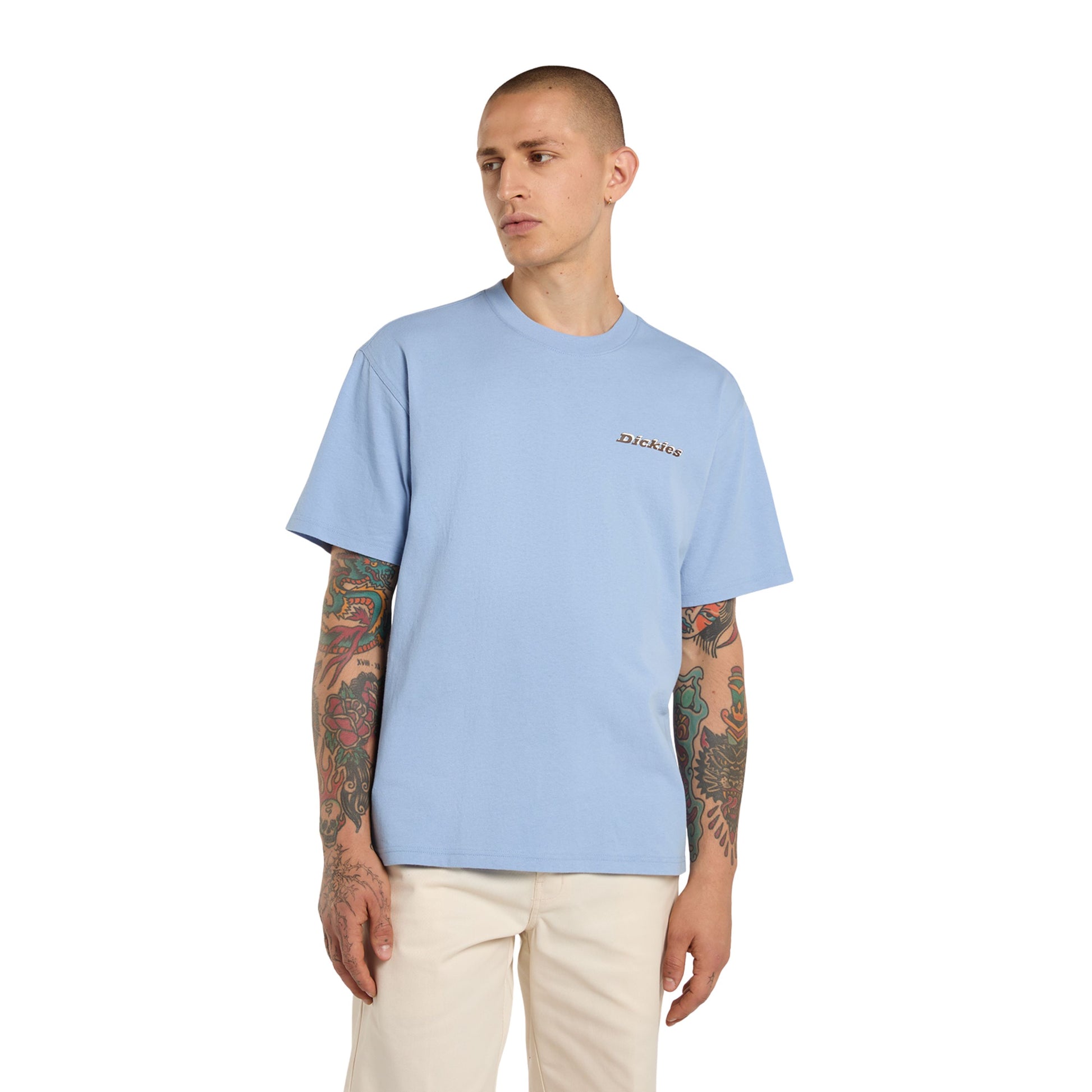 T-Shirt de manga curta para homem Dickies Thornville em Endless Sky. Foto da parte da frente, vestida.