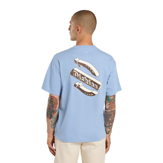 T-Shirt de manga curta para homem Dickies Thornville em Endless Sky. Foto da parte de trás, vestida.
