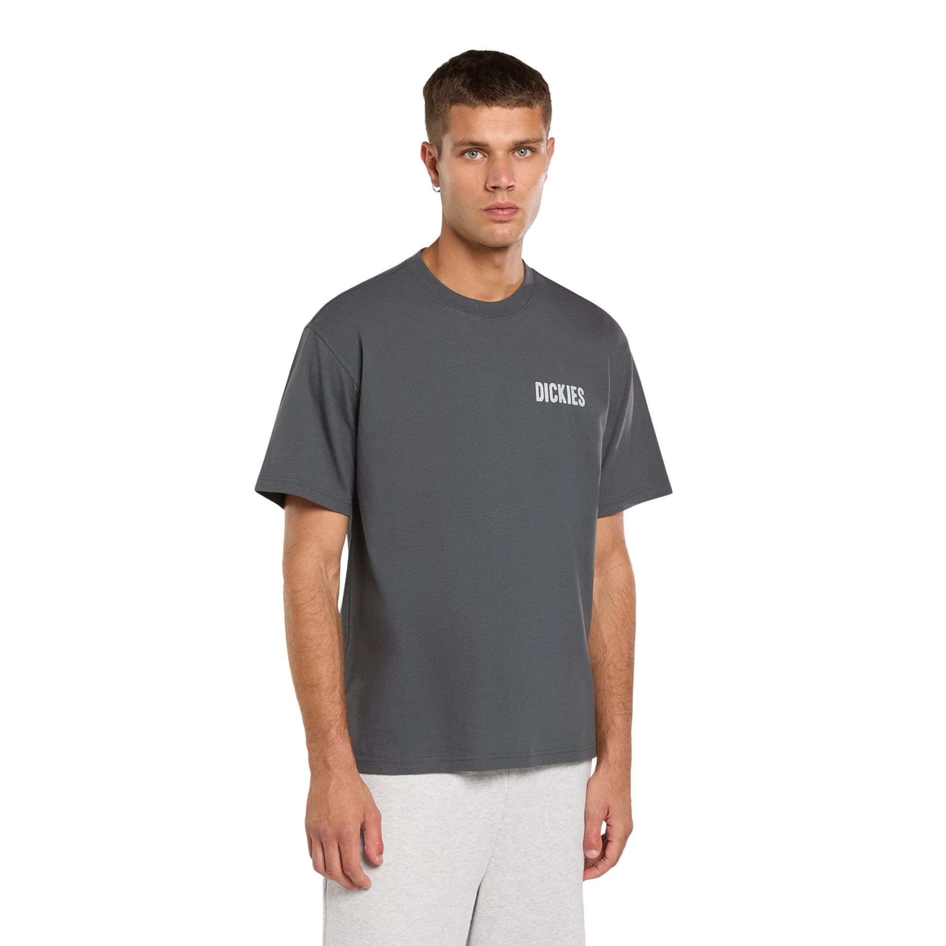 T-Shirt de manga curta para homem Dickies Wolfhurst em Cinza Charcoal. Foto da parte da frente, vestida.