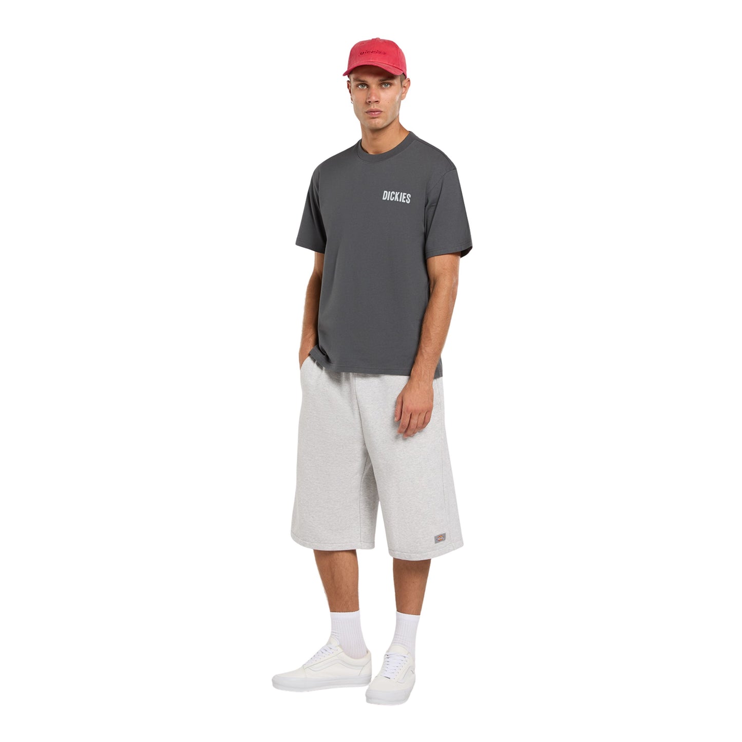 T-Shirt de manga curta para homem Dickies Wolfhurst em Cinza Charcoal. Foto da parte da frente, vestida.