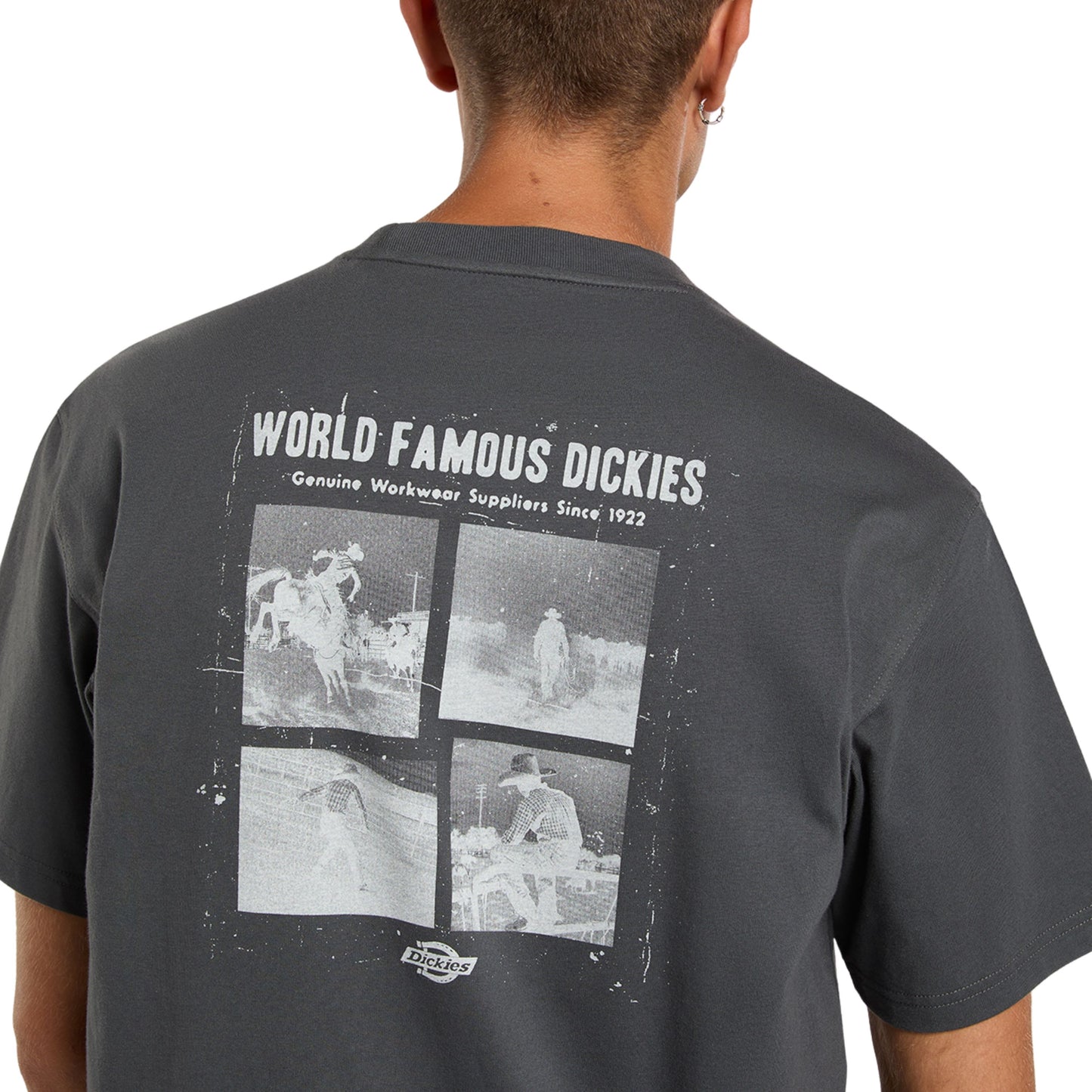T-Shirt de manga curta para homem Dickies Wolfhurst em Cinza Charcoal. Foto de detalhe da parte de trás, vestida.