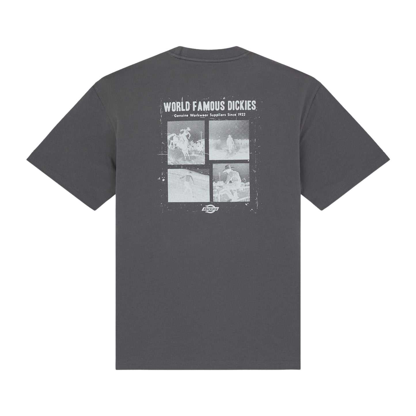 T-Shirt de manga curta para homem Dickies Wolfhurst em Cinza Charcoal. Foto da parte de trás.