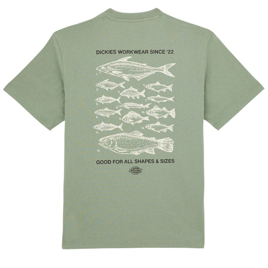 T-Shirt de manga curta para homem Dickies Laryville em Sea Spray. Foto da parte de trás.