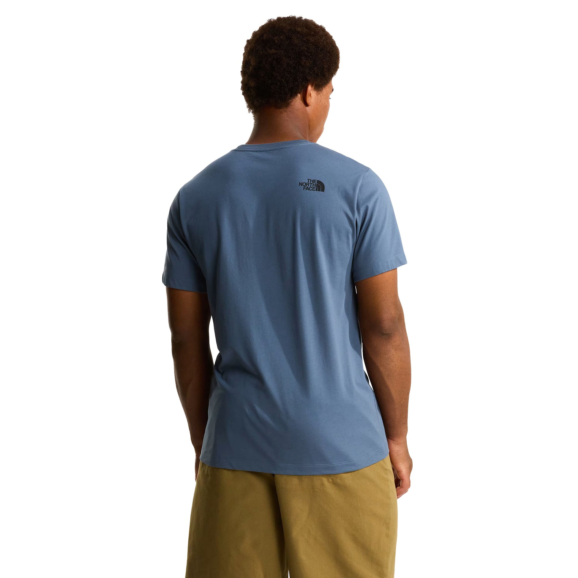 T-Shirt de manga curta para homem The North Face Evolution Box Half Dome Regular em cinza Granite. Foto da parte de trás, vestida.