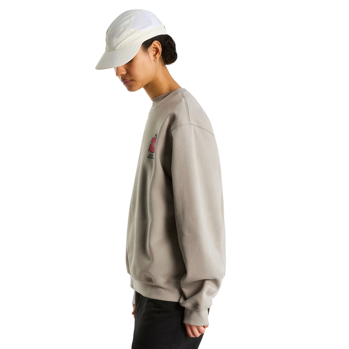 Sweatshirt unissexo The North Face Gear Up Get Out Relaxed Crew em Stone Slab