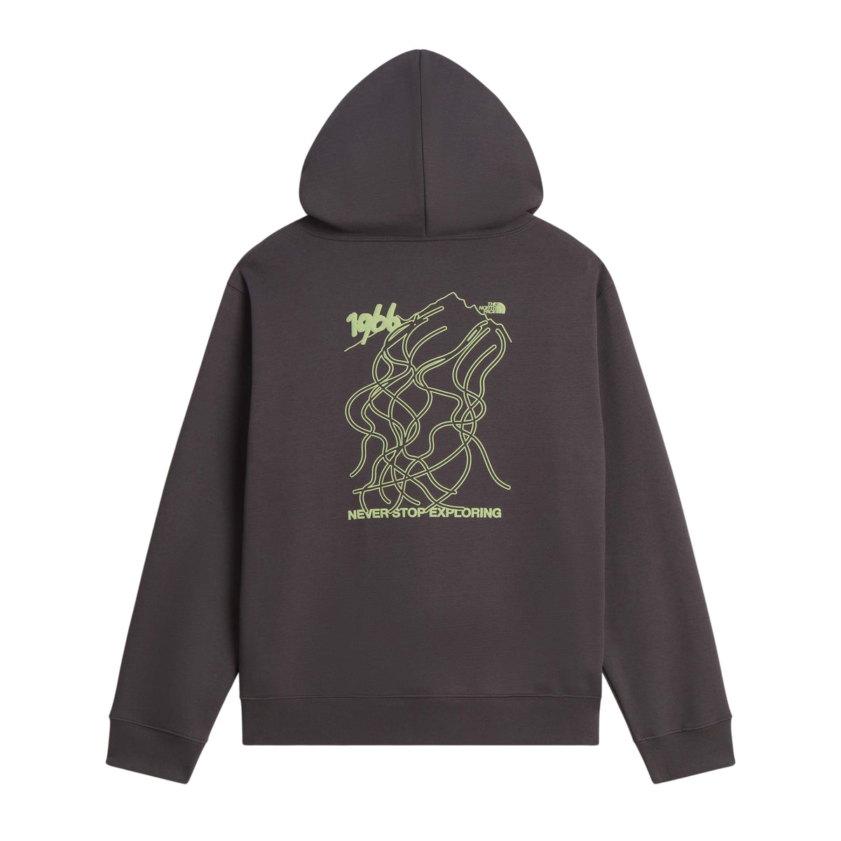 Sweat com capuz The North Face NSE Slopes em Anthracite Grey, vista traseira sem modelo com gráfico verde-claro.