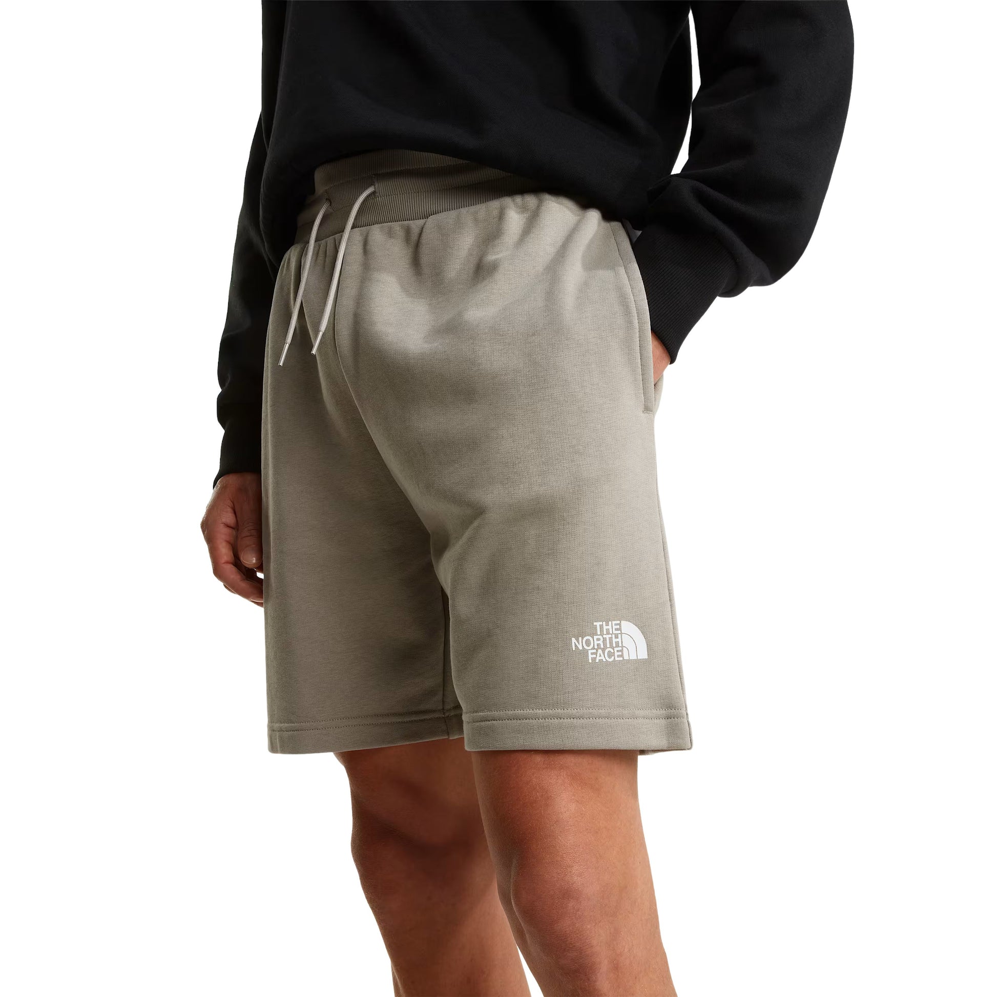 Calções para homem The North Face Simple Dome Light Regular em Stone Slab. Foto da parte da frente, vestidos.