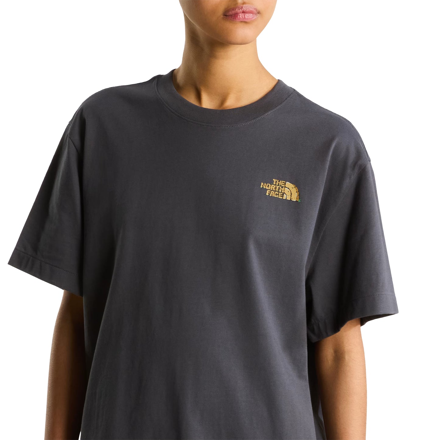 T-Shirt The North Face Stone Logo Relaxed em Anthracite Grey — modelo feminino de frente, meio corpo, logo TNF Stone em dourado no peito esquerdo e gola redonda visíveis, fundo branco